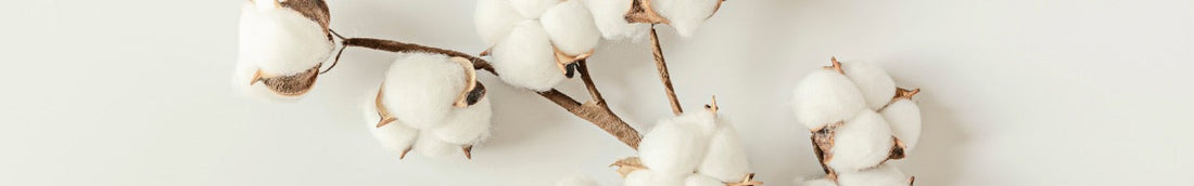 Cotton bolls
