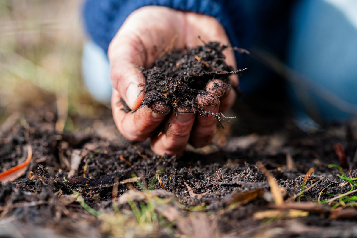 Hand holding soil with a blurred background